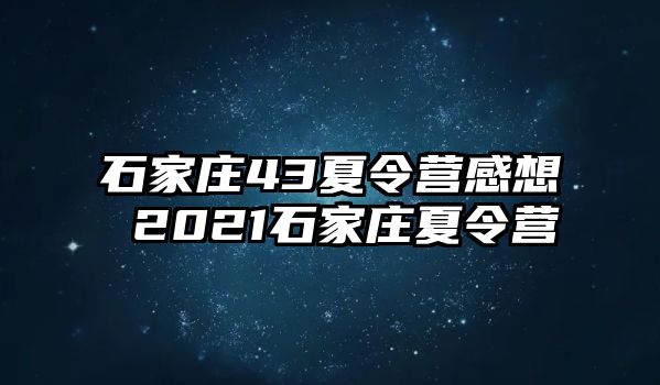 石家庄43夏令营感想 2021石家庄夏令营