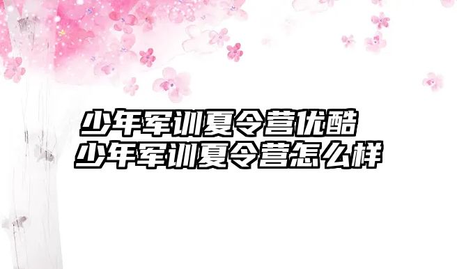 少年军训夏令营优酷 少年军训夏令营怎么样