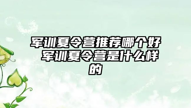 军训夏令营推荐哪个好 军训夏令营是什么样的