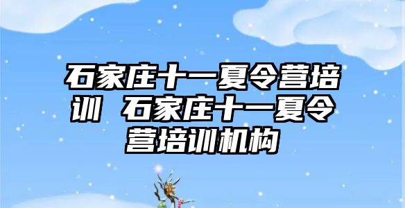 石家庄十一夏令营培训 石家庄十一夏令营培训机构