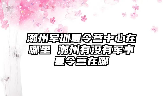 潮州军训夏令营中心在哪里 潮州有没有军事夏令营在哪