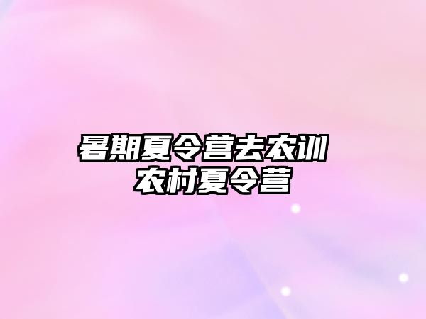 暑期夏令营去农训 农村夏令营