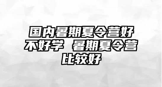 国内暑期夏令营好不好学 暑期夏令营比较好