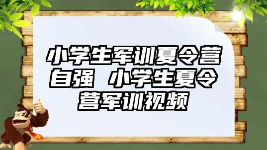 小学生军训夏令营自强 小学生夏令营军训视频