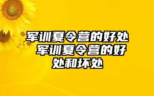 军训夏令营的好处 军训夏令营的好处和坏处