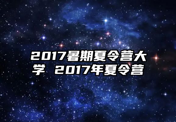 2017暑期夏令营大学 2017年夏令营