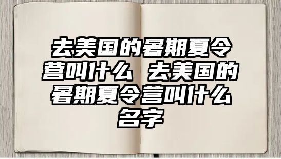 去美国的暑期夏令营叫什么 去美国的暑期夏令营叫什么名字