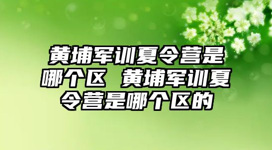 黄埔军训夏令营是哪个区 黄埔军训夏令营是哪个区的