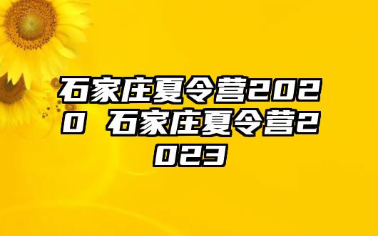 石家庄夏令营2020 石家庄夏令营2023