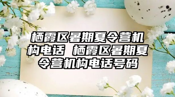 栖霞区暑期夏令营机构电话 栖霞区暑期夏令营机构电话号码