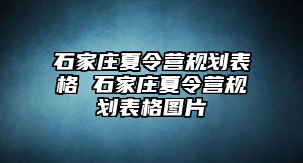 石家庄夏令营规划表格 石家庄夏令营规划表格图片