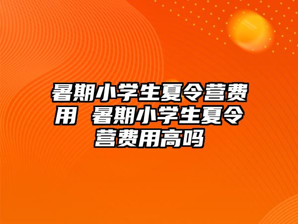 暑期小学生夏令营费用 暑期小学生夏令营费用高吗