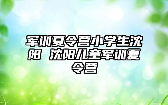 军训夏令营小学生沈阳 沈阳儿童军训夏令营