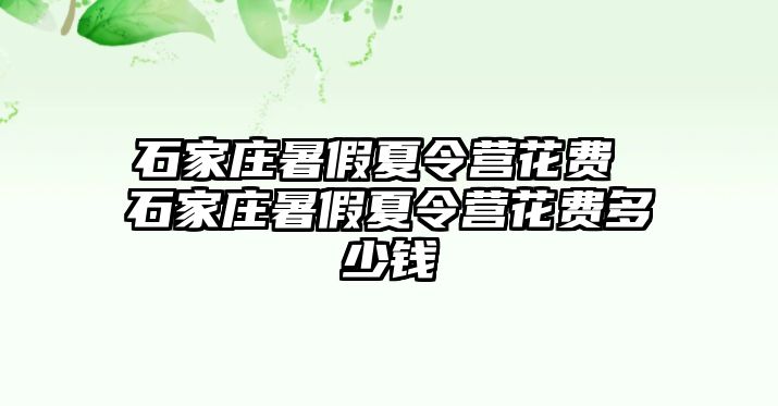 石家庄暑假夏令营花费 石家庄暑假夏令营花费多少钱