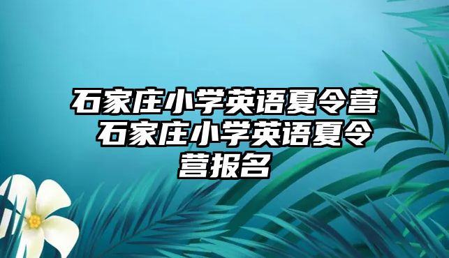 石家庄小学英语夏令营 石家庄小学英语夏令营报名