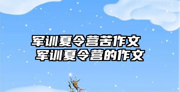 军训夏令营苦作文 军训夏令营的作文