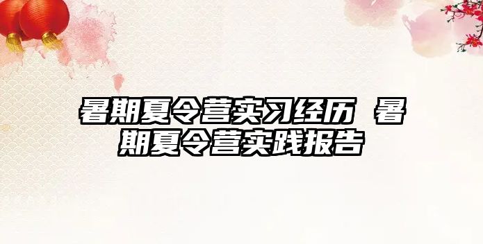 暑期夏令营实习经历 暑期夏令营实践报告