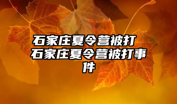 石家庄夏令营被打 石家庄夏令营被打事件