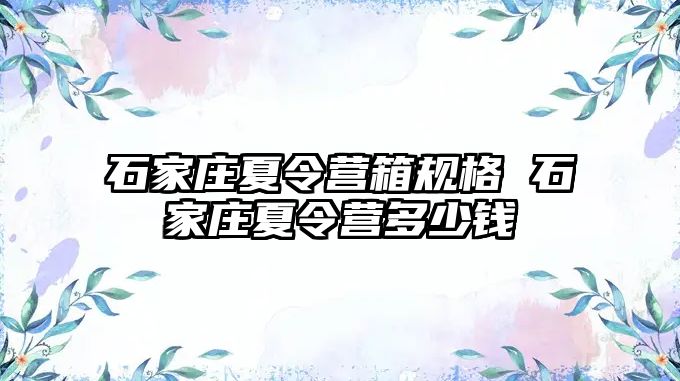 石家庄夏令营箱规格 石家庄夏令营多少钱