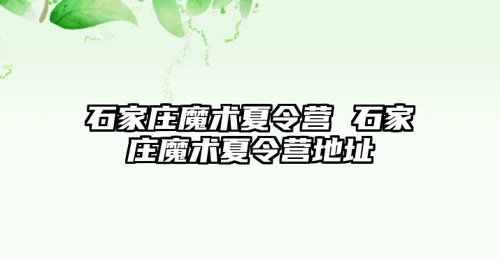 石家庄魔术夏令营 石家庄魔术夏令营地址