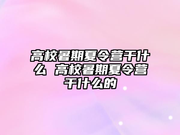 高校暑期夏令营干什么 高校暑期夏令营干什么的