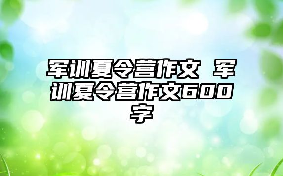 军训夏令营作文 军训夏令营作文600字