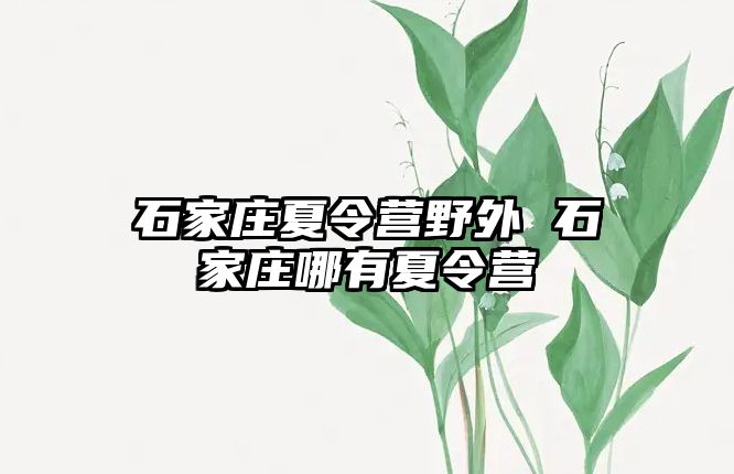 石家庄夏令营野外 石家庄哪有夏令营