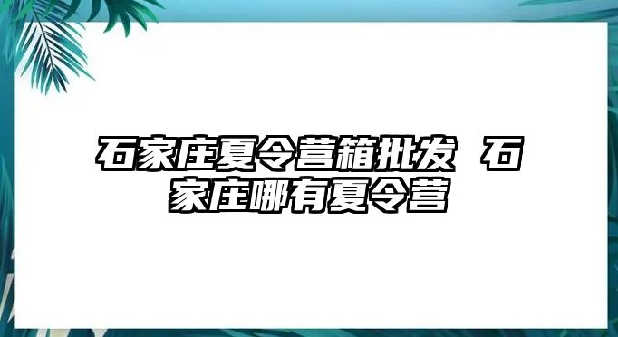 石家庄夏令营箱批发 石家庄哪有夏令营