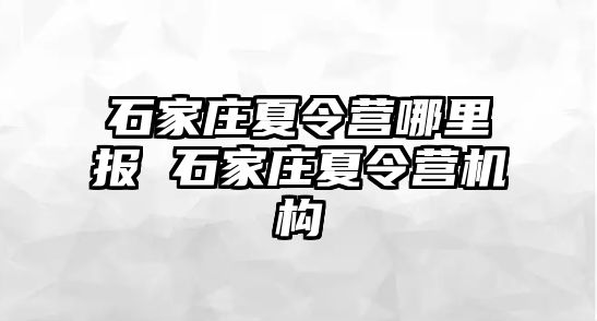 石家庄夏令营哪里报 石家庄夏令营机构