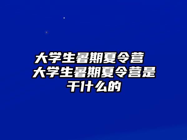 大学生暑期夏令营 大学生暑期夏令营是干什么的