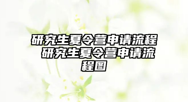 研究生夏令营申请流程 研究生夏令营申请流程图