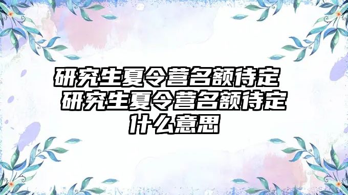 研究生夏令营名额待定 研究生夏令营名额待定什么意思