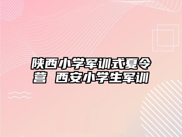 陕西小学军训式夏令营 西安小学生军训