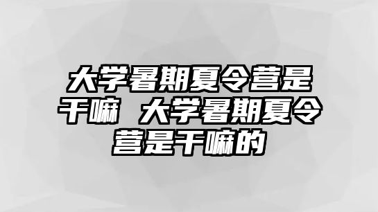 大学暑期夏令营是干嘛 大学暑期夏令营是干嘛的