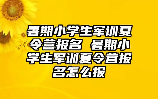 暑期小学生军训夏令营报名 暑期小学生军训夏令营报名怎么报