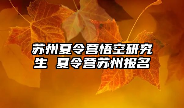 苏州夏令营悟空研究生 夏令营苏州报名