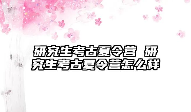 研究生考古夏令营 研究生考古夏令营怎么样