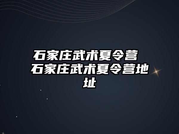 石家庄武术夏令营 石家庄武术夏令营地址