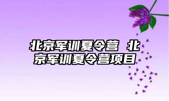 北京军训夏令营 北京军训夏令营项目