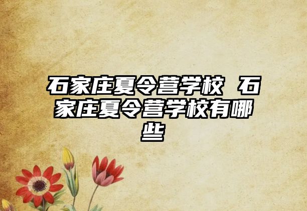 石家庄夏令营学校 石家庄夏令营学校有哪些