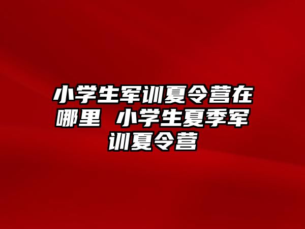 小学生军训夏令营在哪里 小学生夏季军训夏令营