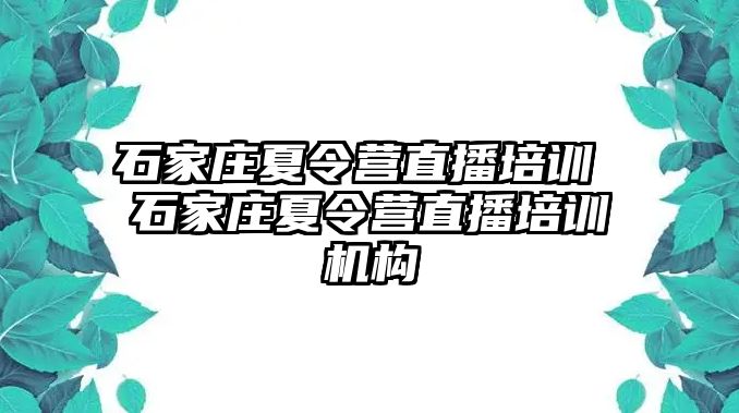 石家庄夏令营直播培训 石家庄夏令营直播培训机构