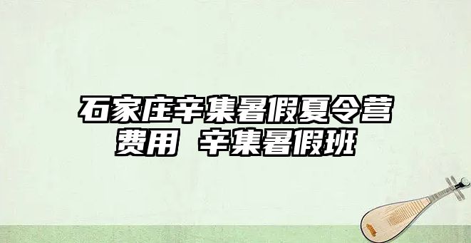 石家庄辛集暑假夏令营费用 辛集暑假班