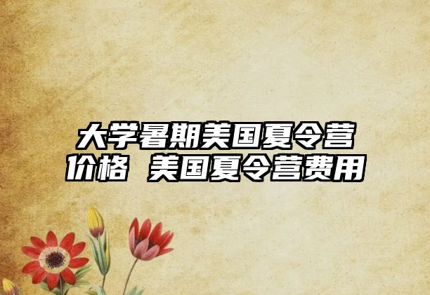 大学暑期美国夏令营价格 美国夏令营费用