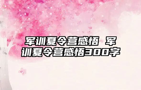 军训夏令营感悟 军训夏令营感悟300字