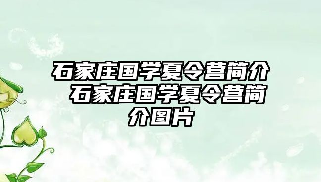 石家庄国学夏令营简介 石家庄国学夏令营简介图片