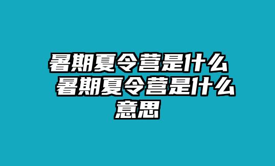 暑期夏令营是什么 暑期夏令营是什么意思