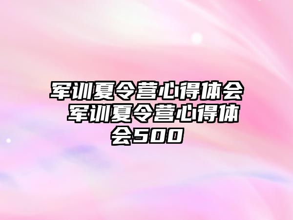 军训夏令营心得体会 军训夏令营心得体会500