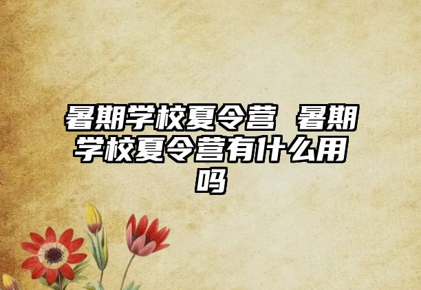 暑期学校夏令营 暑期学校夏令营有什么用吗