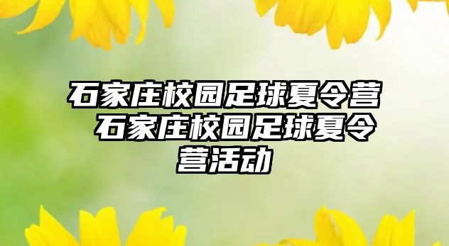 石家庄校园足球夏令营 石家庄校园足球夏令营活动